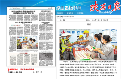 云鼎国际4118西北集团珑樾府项目高温慰问——《陕西日报》